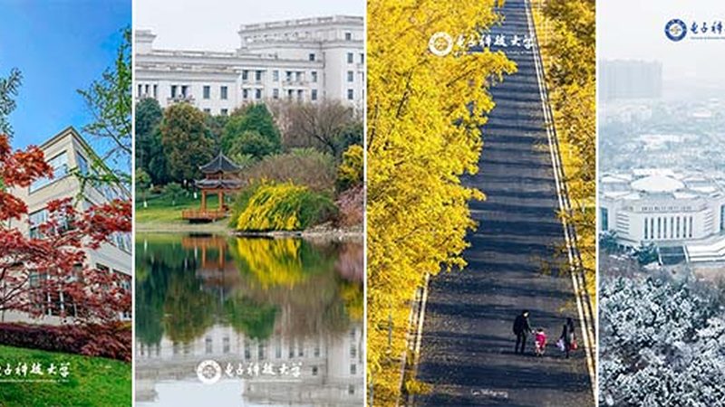 开发板报价单背后的考量：揭秘批发价格的关键因素**
